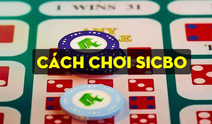  Cách chơi sicbo thắng lớn, giàu nhanh