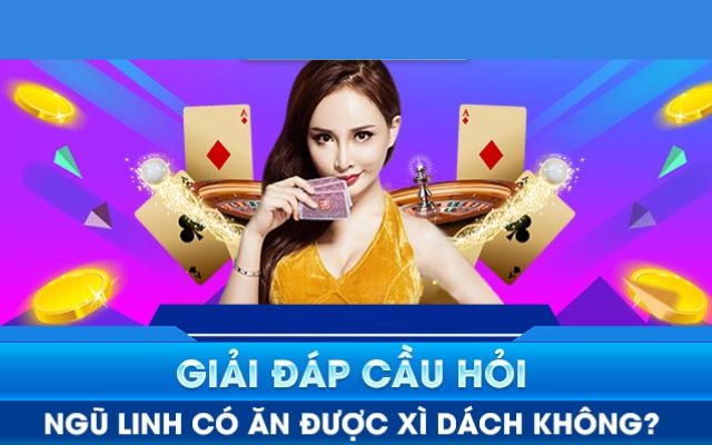Giải Đáp Thắc Mắc Ngũ Linh Có Ăn Được Xì Dách Không