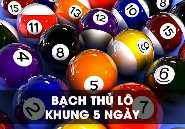 Cách Bắt Bạch Thủ Lô Khung 5 Ngày Chuẩn 100% Từ Cao Thủ  