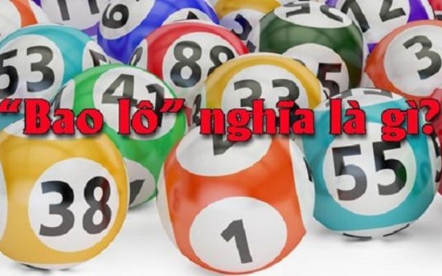Bao Lô Là Gì | Hướng Dẫn Cho Người Mới Bắt Đầu