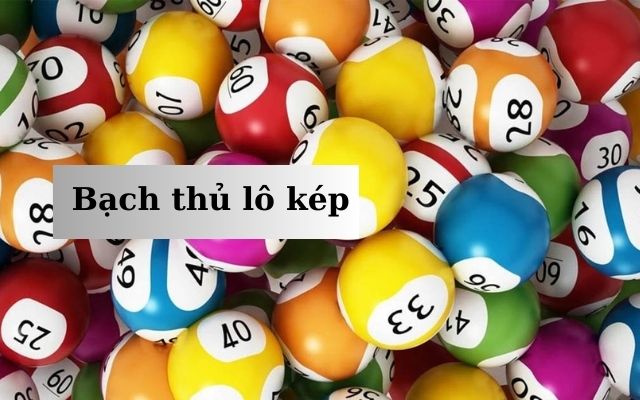 Bạch Thủ Lô Kép Hôm Nay Chuẩn Nhất [Thống Kê Chi Tiết]