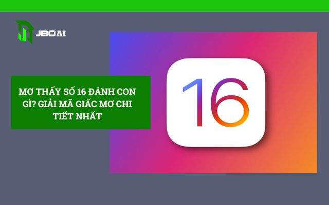 Mơ Thấy Số 16 Đánh Con Gì? Giải Mã Giấc Mơ Chi Tiết Nhất