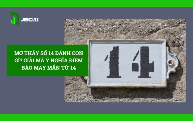 Mơ Thấy Số 14 Đánh Con Gì? Giải Mã Ý Nghĩa Điềm Báo May Mắn Từ 14