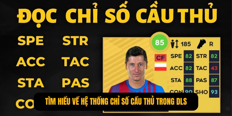Tìm hiểu về hệ thống chỉ số cầu thủ trong DLS