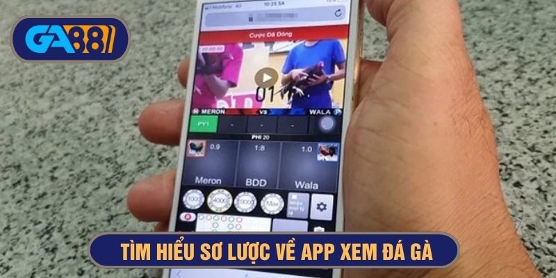 app xem đá gà