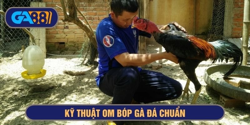 Các bước om bóp gà đá