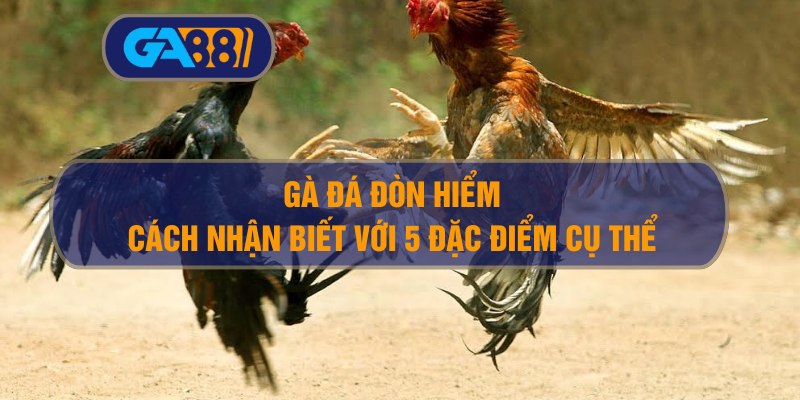 Cách Nhận Biết Gà Đá Đòn Hiểm – 5 Đặc Điểm Dân Chơi Phải Biết