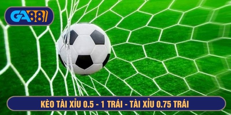 Kèo Tài Xỉu 0.5-1 Trái Là Gì? Tài Xỉu 3/4 Và Tài Xỉu 0.75 Là Sao?