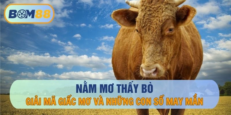 Nằm Mơ Thấy Bò Điềm Gì? Đánh Con Nào May Mắn Dễ Trúng Lô Đề?