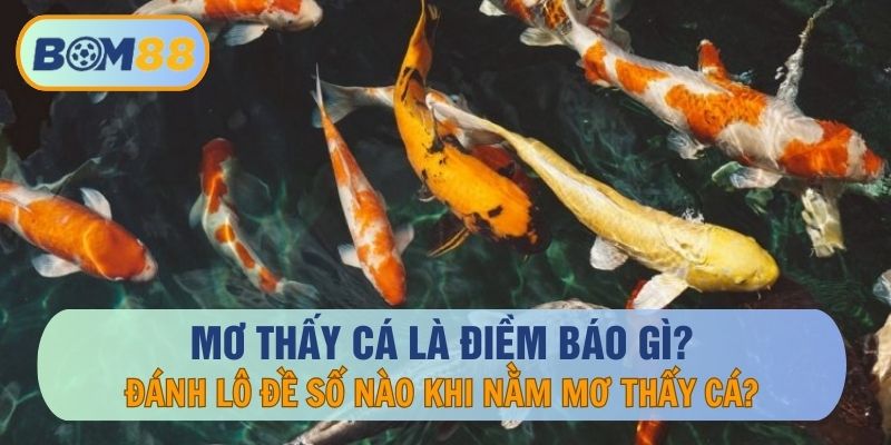 Mơ Thấy Cá Là May Hay Xui? Đánh Lô Đề Con Nào Khi Mơ Gặp Cá?