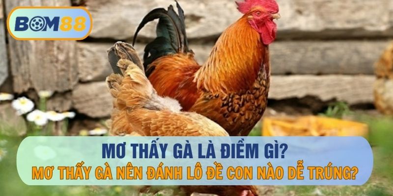 Giải Mã Giấc Mơ Thấy Gà? Mơ Thấy Gà Đánh Số Nào Dễ Trúng Lô Đề?