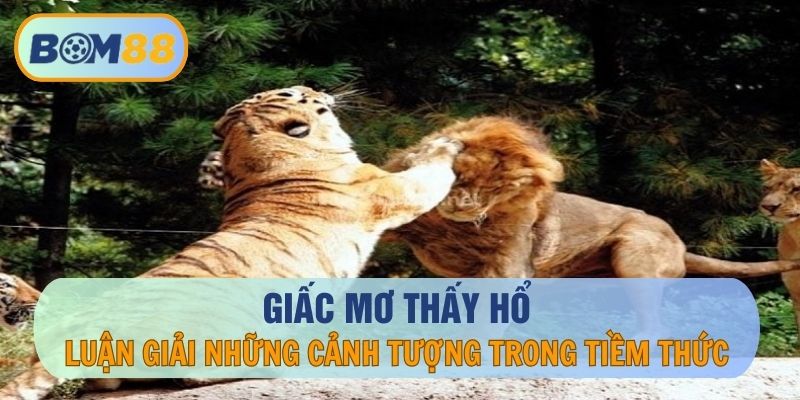 Giấc Mơ Thấy Hổ – Luận Giải Những Cảnh Tượng Trong Tiềm Thức