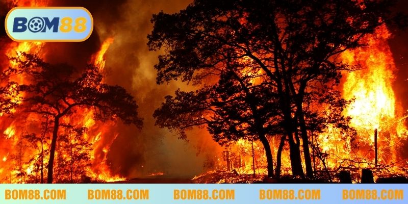 Con số may mắn liên quan đến giấc mơ nhìn thấy lửa cháy