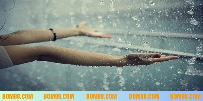Giải mã giấc mơ thấy mưa chảy vào nhà mà không ướt