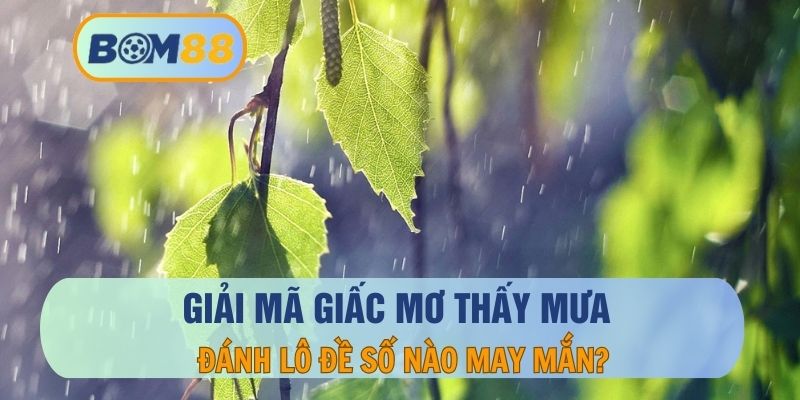 Giải Mã Giấc Mơ Thấy Mưa Và Những Điềm Báo Tốt Gở Chi Tiết