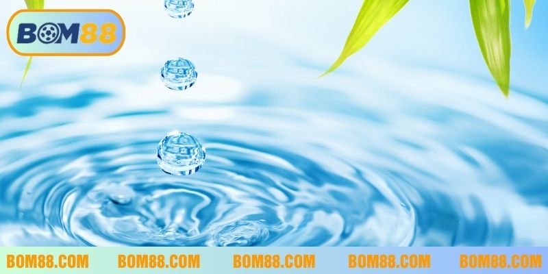 Mơ thấy nước ẩn chứa nhiều điều xoay quanh cuộc sống 