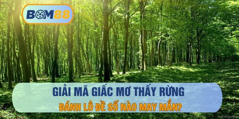 Giải Mã Giấc Mơ Thấy Rừng – Truy Tìm Các Con Số May Mắn