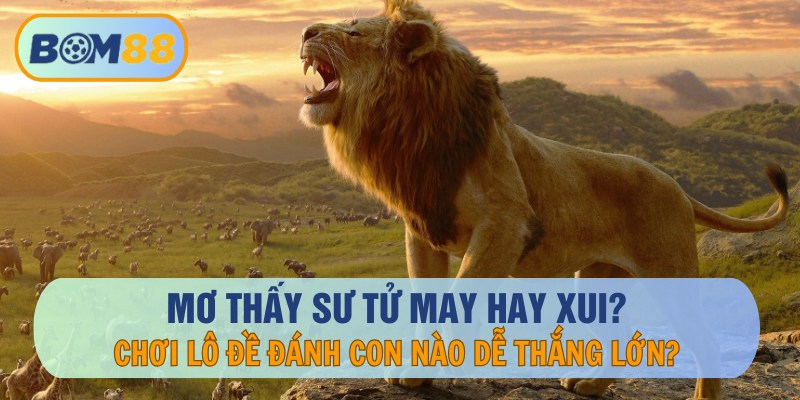 Mơ Thấy Sư Tử May Hay Xui? Con Số Lô Đề Nào Dễ Trúng Lớn?