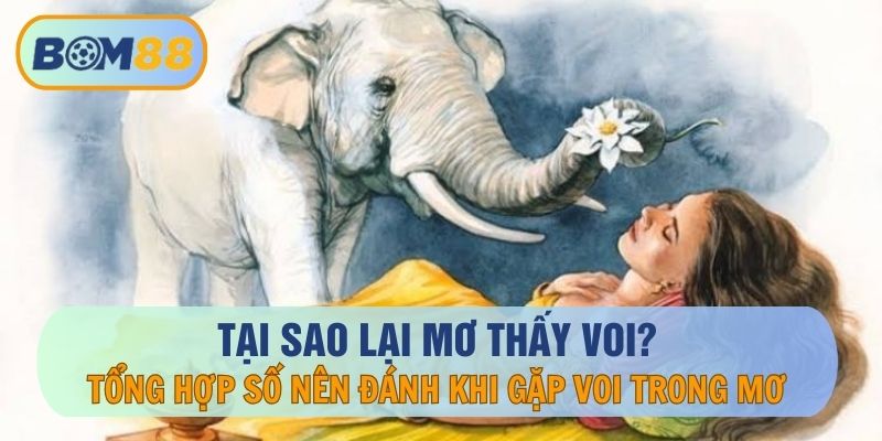 Tại Sao Mơ Thấy Voi? Giải Mã Giấc Mơ Thấy Voi Và Số May Mắn