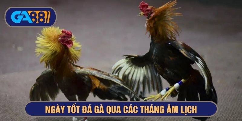 ngày tốt đá gà theo tháng âm lịch