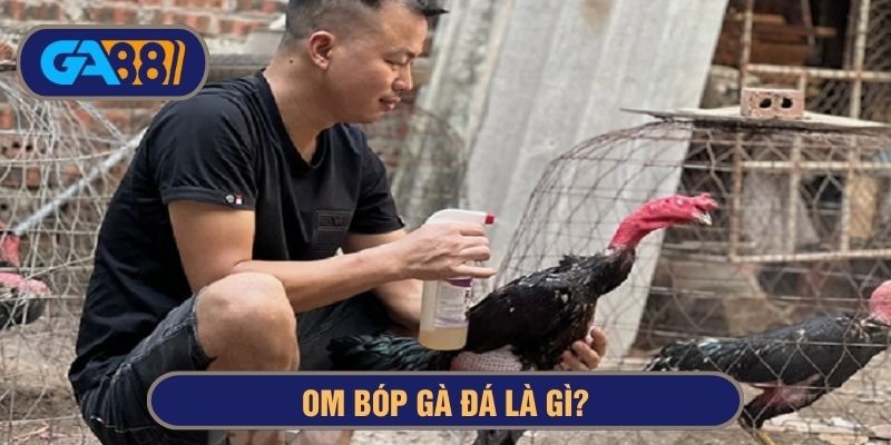Om bóp gà đá là gì
