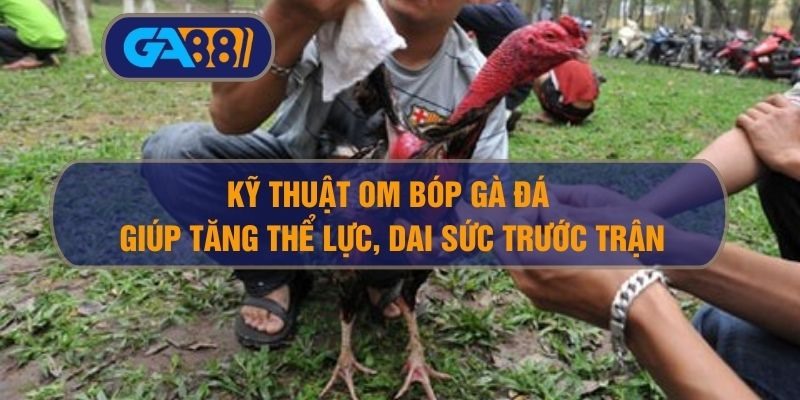 Kỹ Thuật Om Bóp Gà Đá Giúp Tăng Thể Lực, Dai Sức Trước Trận
