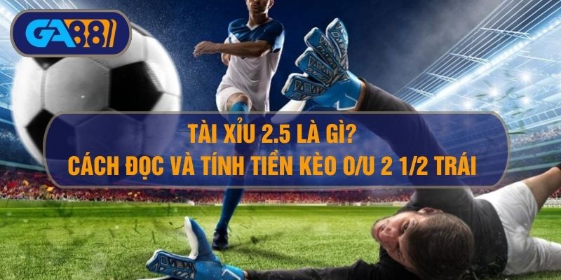 Tài Xỉu 2.5 Là Gì? Hướng Dẫn Đọc Kèo, Tính Tiền Tài Xỉu 2 1/2