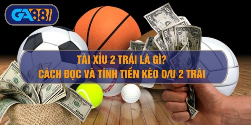 Tài Xỉu 2 Trái Là Gì? Cách Đọc Và Tính Tiền Tài Xỉu 2 Trái